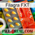 Filagra FXT new01